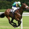 Handicapping the SAP/Oracle Procurement Race