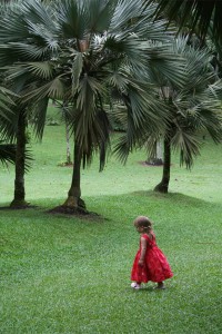 walk_in_the_park