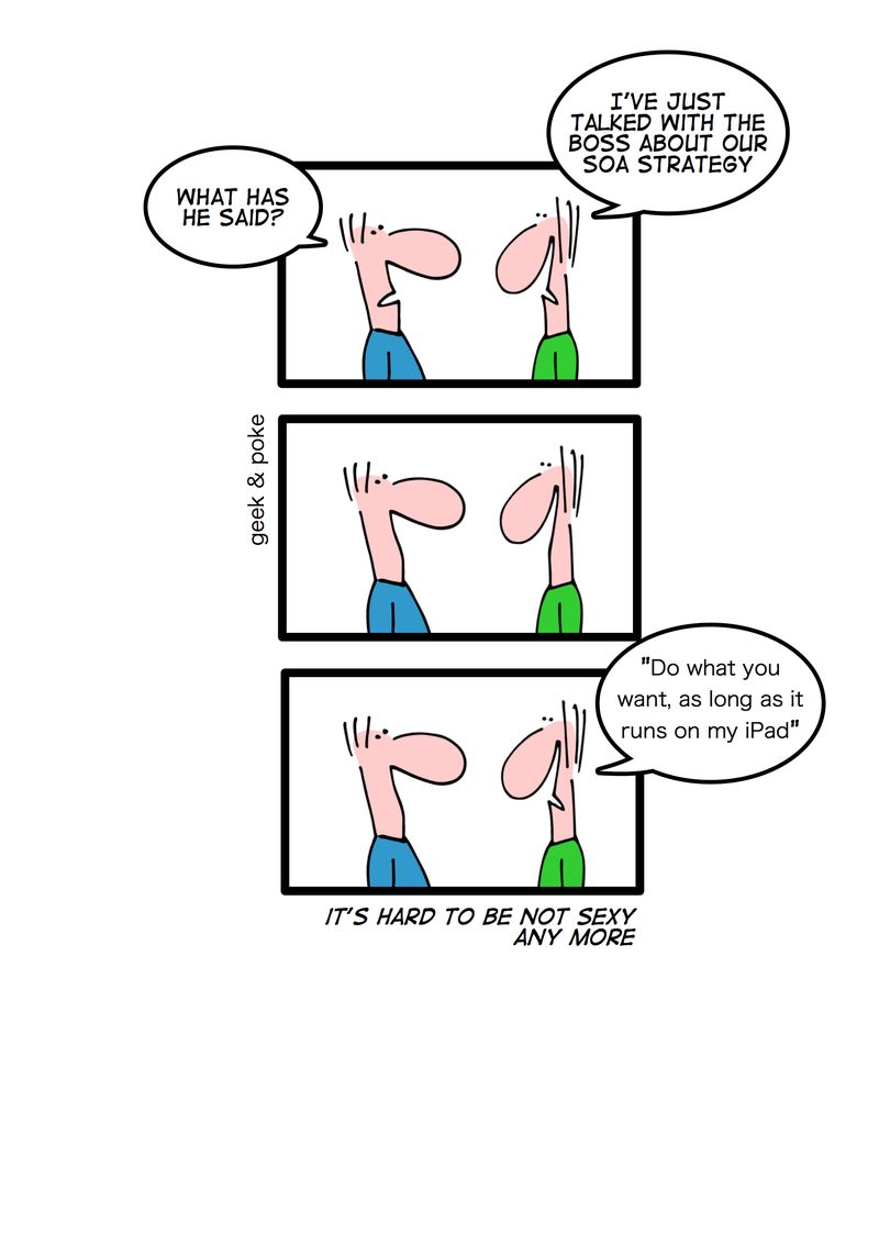 Enterprise Software Strategy