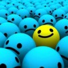 Contrarian VC’s: Good Idea!