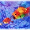 Where is the HR software market disappearing?