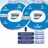 Ariba Supplier Network Alternatives: Hubwoo (Part 1)