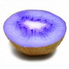 *not* this blue kiwi :-)