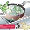 Let’s Not Boil This Frog