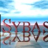 SAP and Sybase – The Synergy Begins