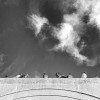 Research data on cloud growth and focus