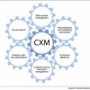 From CRM to CXM: Walking the Customer Journey