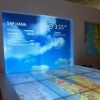 The SAP Business Suite and HANA