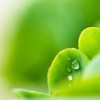 IBM tackling water issues globally