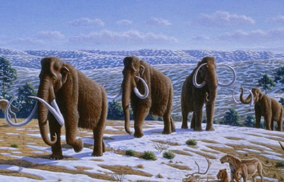 Extinct