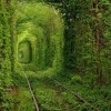 The Progressive BPO Train has left the Station – is IBM on it?