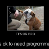 Developer-Friendly BPM