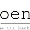 Salesforce and the New Bucket of Bits. Phoenix, Ashes.