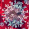 How Startup CEOs Should Think About the Coronavirus