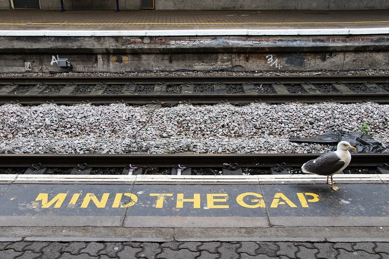 Mind the gap railway photo with pigeon